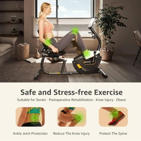 Recumbent Exercise Bike Magnetic Indoor Cycling Home Workout