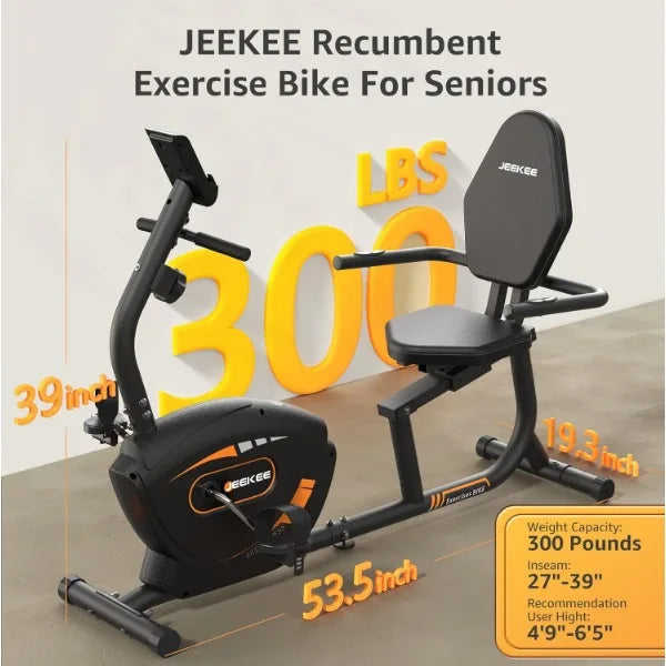 Recumbent Exercise Bike Magnetic Indoor Cycling Home Workout